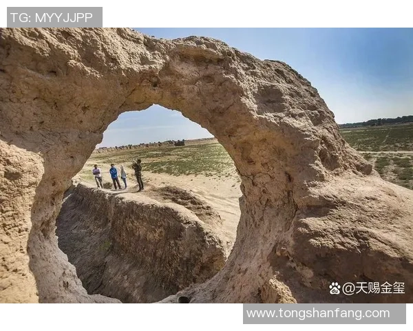 探索阿拉巴的历史文化与自然风光之美，感受独特的地方魅力与人文气息