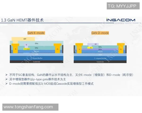 诺维奇与布城精彩对决直播全程回顾与分析
