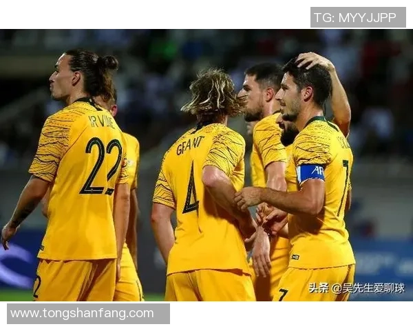 越南与伊朗足球对决直播分析及赛前预测全方位解读