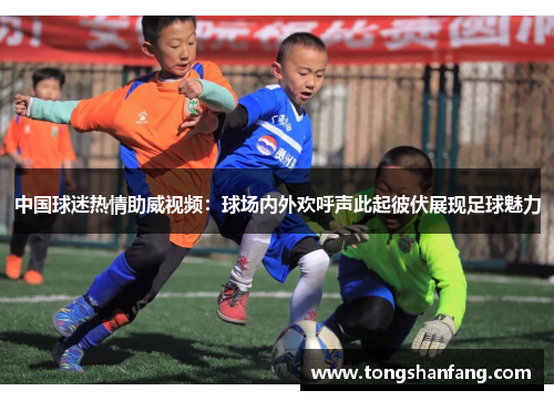 中国球迷热情助威视频：球场内外欢呼声此起彼伏展现足球魅力