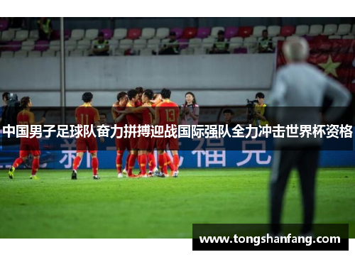 中国男子足球队奋力拼搏迎战国际强队全力冲击世界杯资格