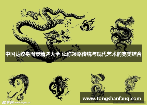 中国龙纹身图案精选大全 让你领略传统与现代艺术的完美结合