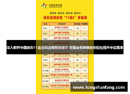深入解析中国体彩11选五玩法规则及技巧 掌握选号策略助你轻松提升中奖概率