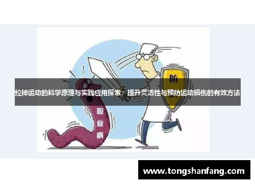 拉抻运动的科学原理与实践应用探索：提升灵活性与预防运动损伤的有效方法