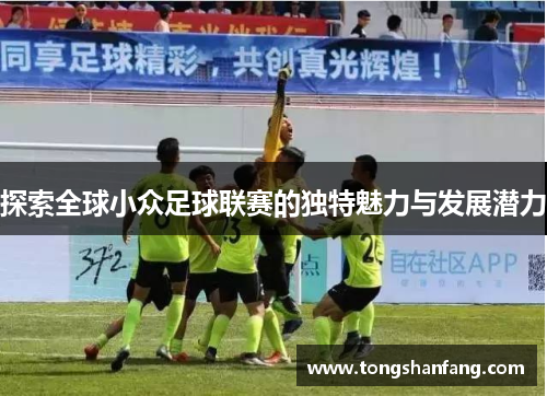 探索全球小众足球联赛的独特魅力与发展潜力