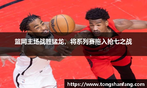 篮网主场战胜猛龙，将系列赛拖入抢七之战