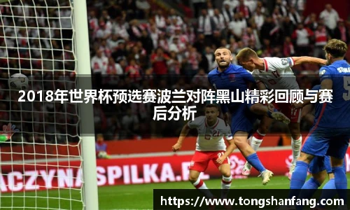 2018年世界杯预选赛波兰对阵黑山精彩回顾与赛后分析