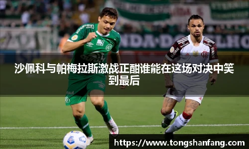 NG大舞台在线登录